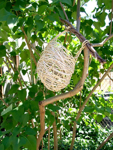 Bird's nest baskets